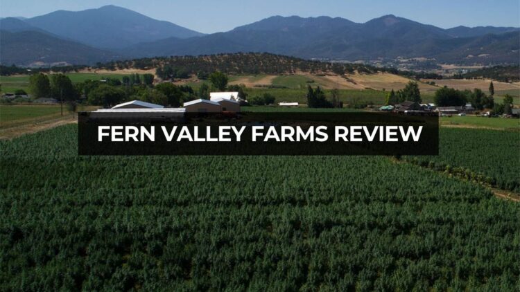 Fern Valley Farms Review