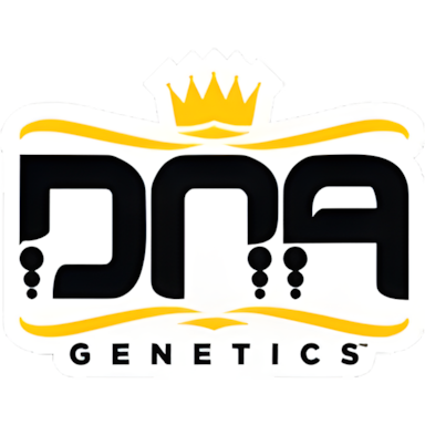 dna genetics